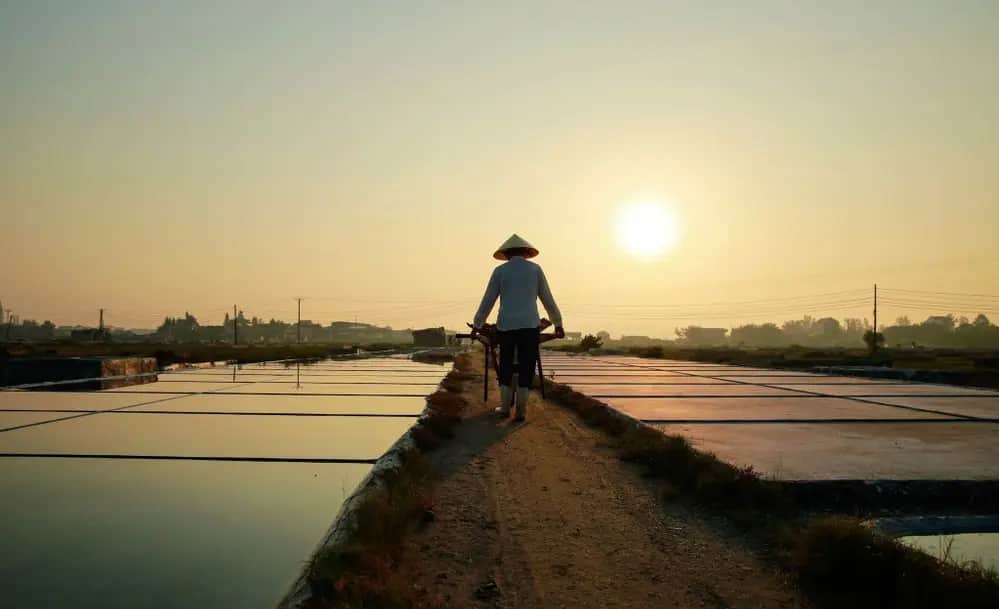 Ruộng muối An Hòa lúc mặt trời lên: một người đội nón lá vác dụng cụ đi trên bờ đất giữa hai dải ô muối phẳng như gương, xa xa là hàng cột điện và mái nhà làng