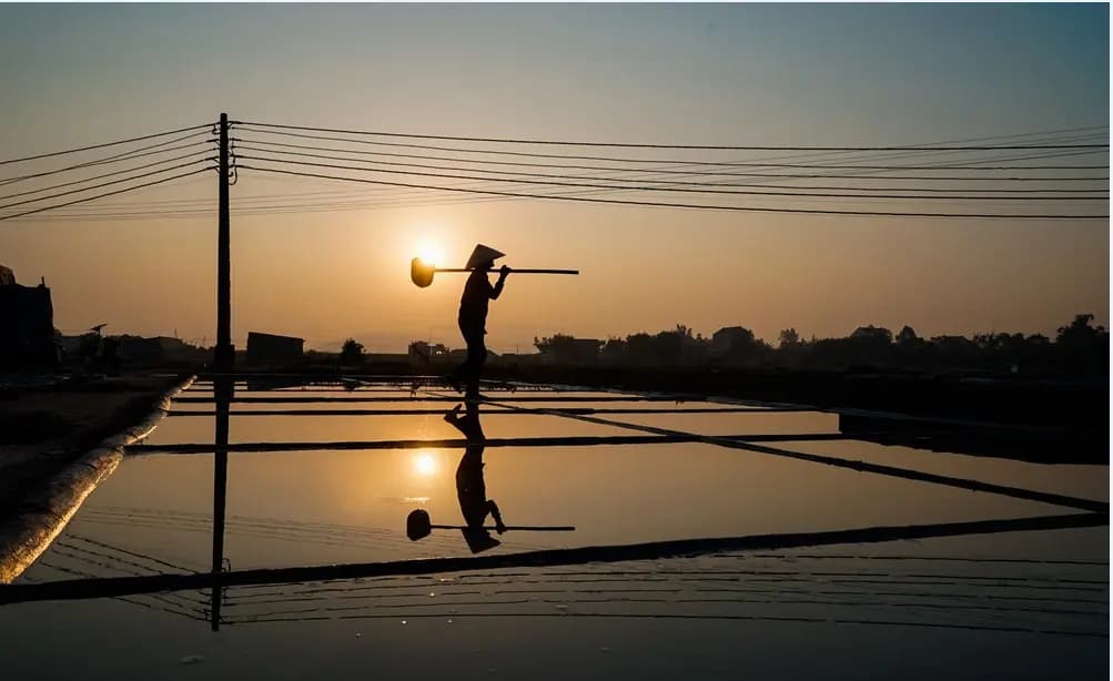 Bóng một diêm dân gánh đôi thúng in ngược trên mặt nước ruộng muối An Hòa, mặt trời tròn nằm ngay sau lưng, dây điện vắt ngang trời
