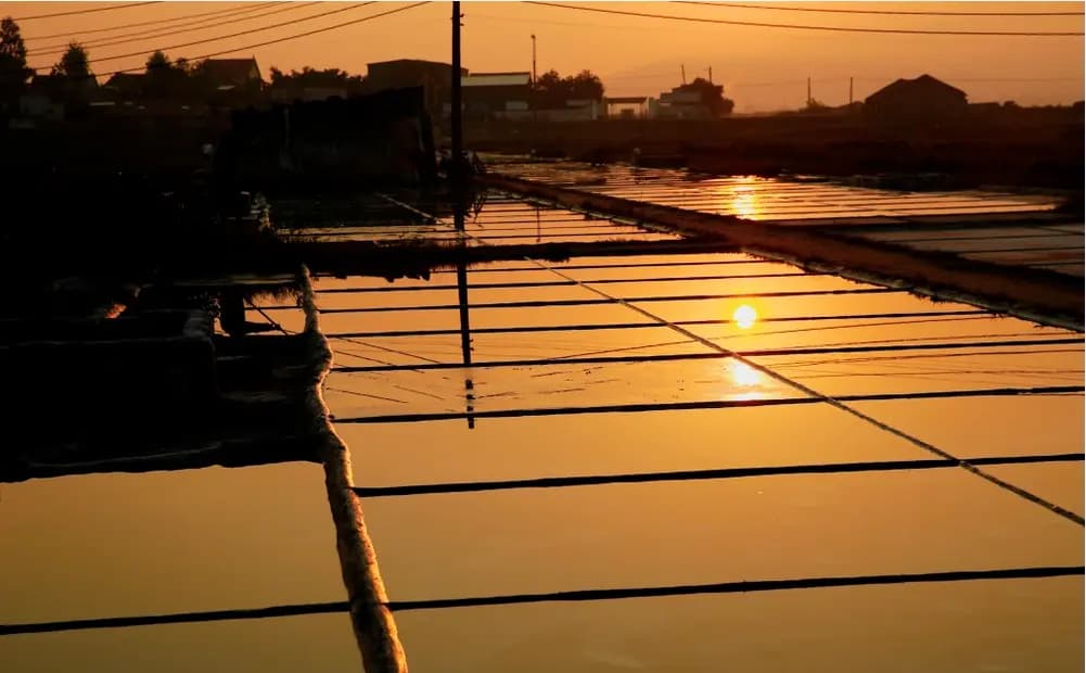Những ô muối chia bằng bờ đất thẳng tắp ở An Hòa nhuộm vàng cam lúc chiều muộn, mặt trời in tròn xuống lớp nước mỏng