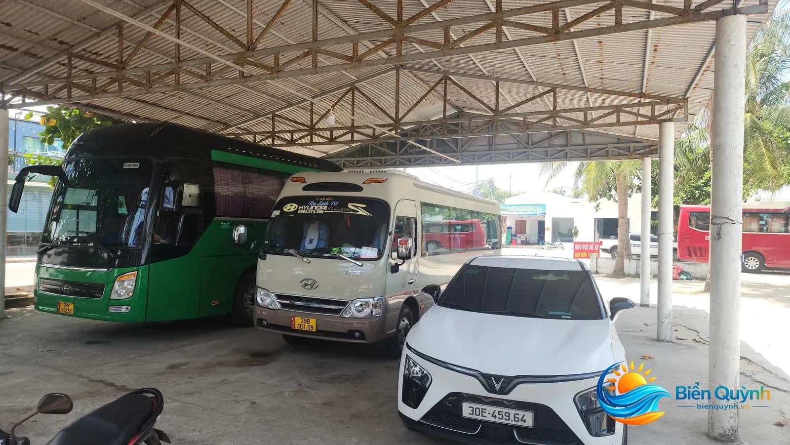 Sao bien 6 tại Nhà Hàng Khách Sạn Sao Biển, biển Quỳnh, Nghệ An