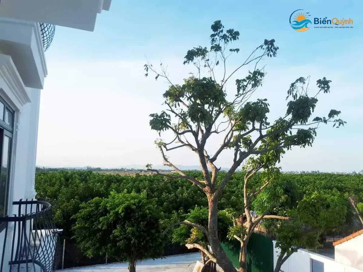 Nha nghi song mo bienquynh 6 tại Nhà nghỉ Sông Mơ, biển Quỳnh, Nghệ An