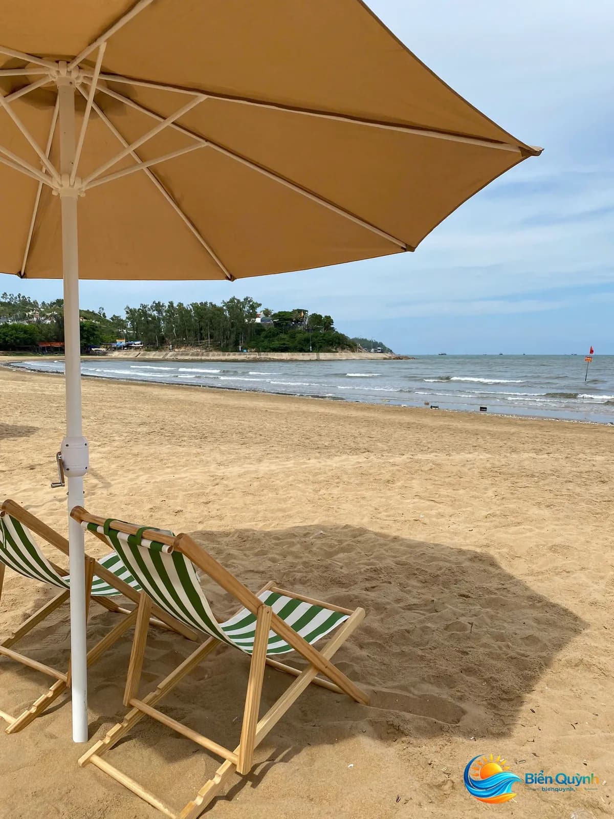 Sao bien 18 tại Nhà Hàng Khách Sạn Sao Biển, biển Quỳnh, Nghệ An