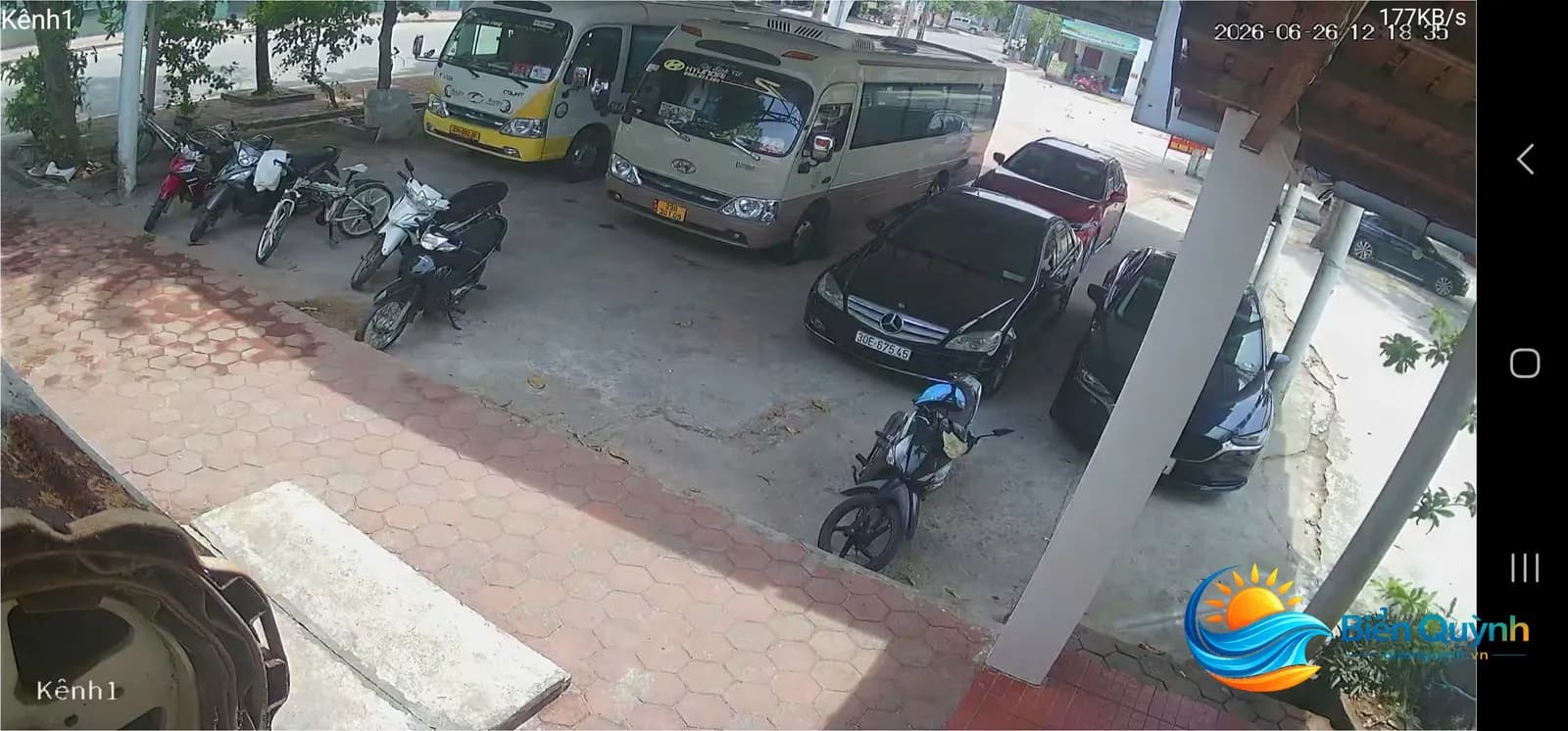 Sao bien 5 tại Nhà Hàng Khách Sạn Sao Biển, biển Quỳnh, Nghệ An