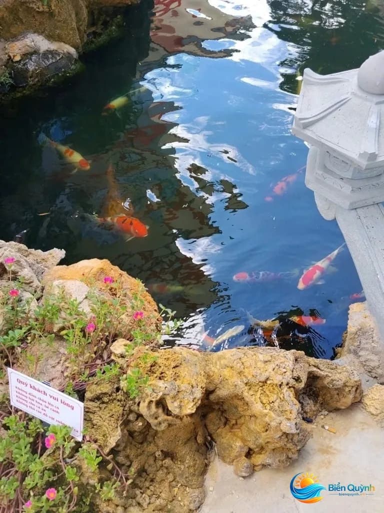 Viet tin hotel bien quynh ho ca koi tại Việt Tín Hotel, biển Quỳnh, Nghệ An